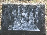 image of grave number 659636